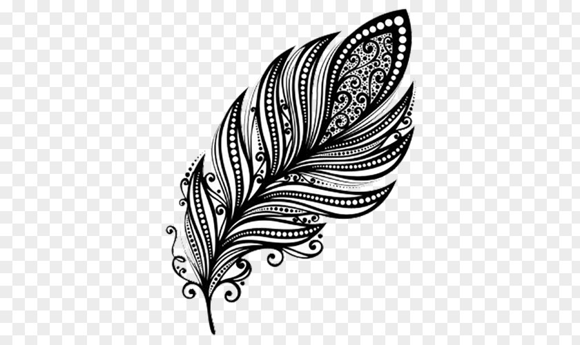Black Falling Feathers Feather Drawing PNG