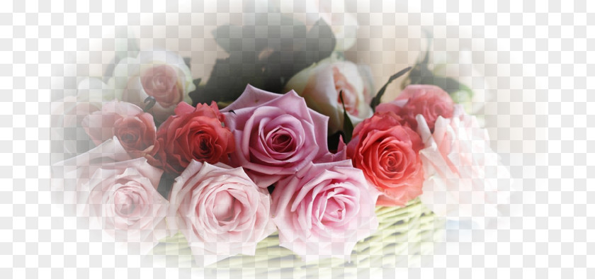 Flower Bouquet Desktop Wallpaper Garden Roses PNG