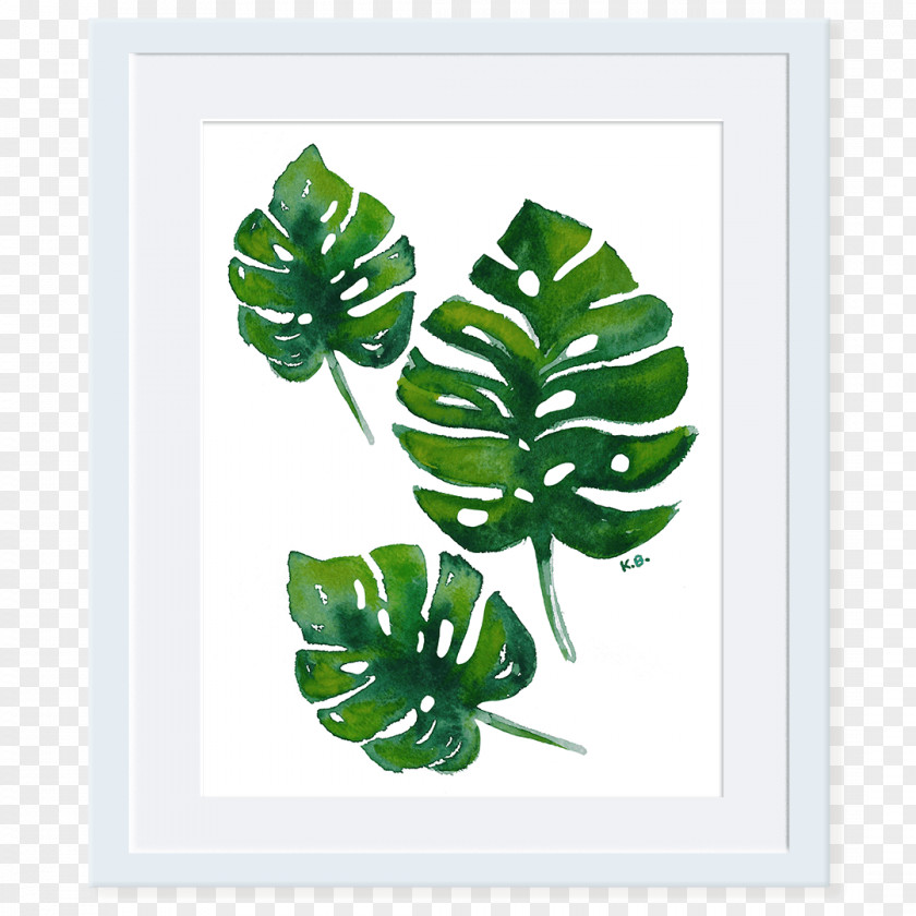 Monstera Deliciosa Swiss Cheese Plant Leaf Plants Watercolor Painting Window PNG