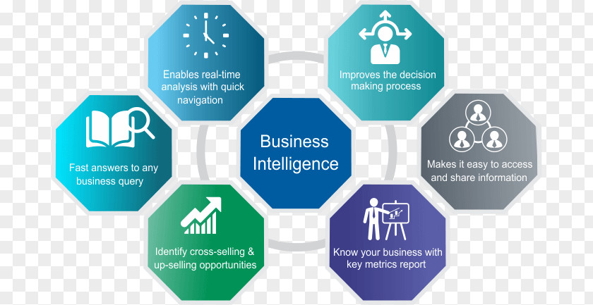 Business Intelligence Software Industry Organization Company PNG