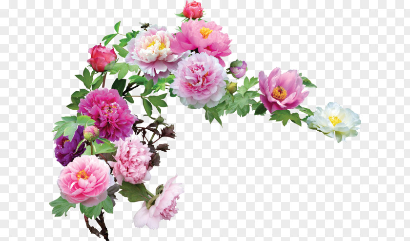 Flower Cut Flowers Floral Design Rose Bouquet PNG