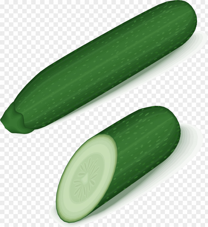 Green Tick Cucumber Zucchini Vegetable Cucurbita Clip Art PNG