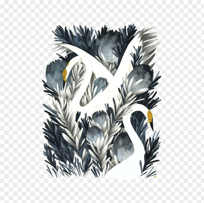 Ink White Swan Cygnini Drawing Painting Illustration PNG
