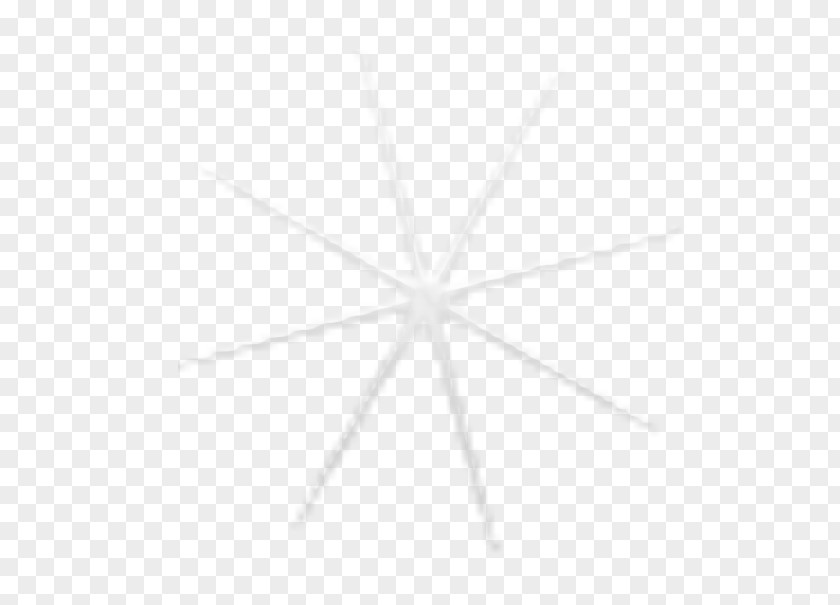 Line White Angle PNG