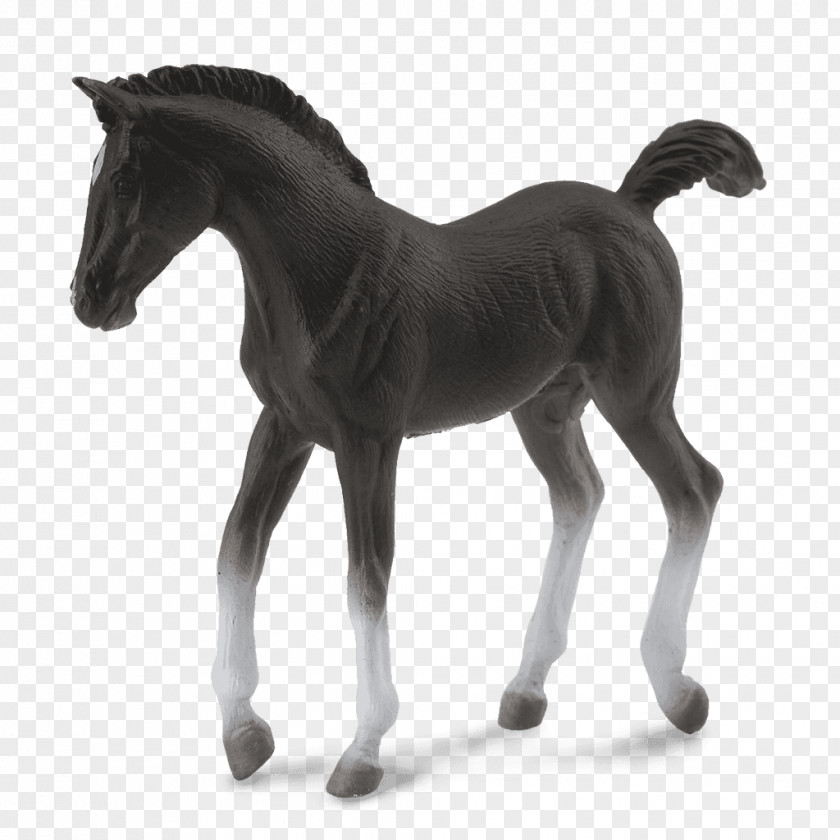 Walking Horse Toys Tennessee Foal Stallion Black Forest Shire PNG