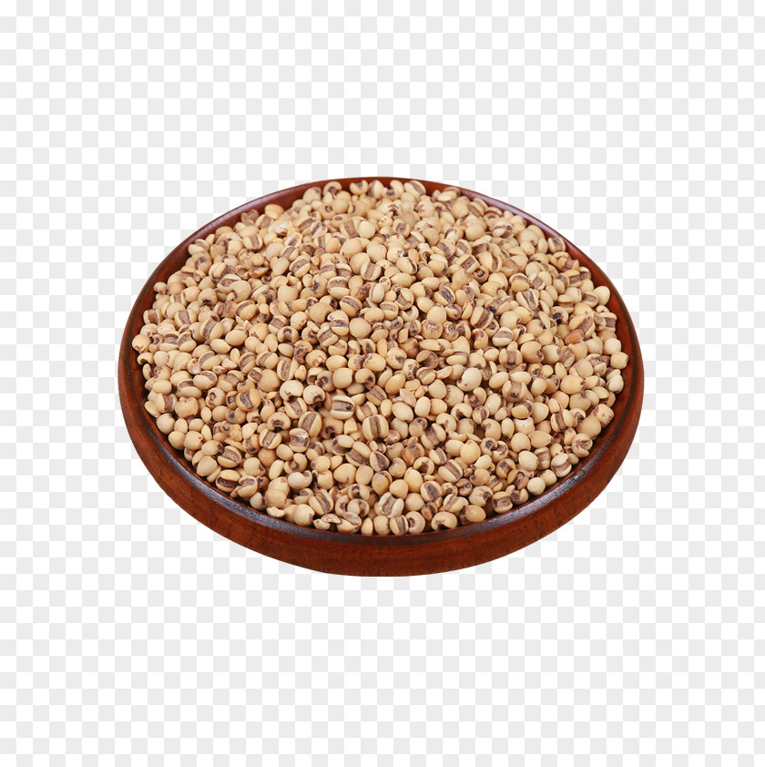 Barley Rice Grains Cereal Tea PNG