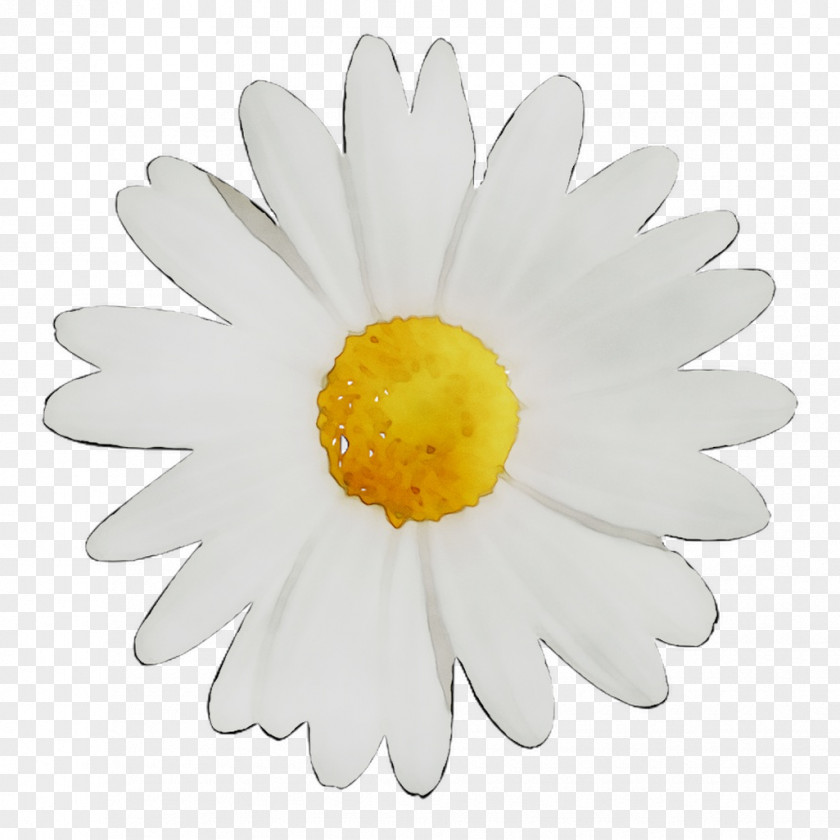 Clock Image Royalty-free Stock Photography Flower PNG
