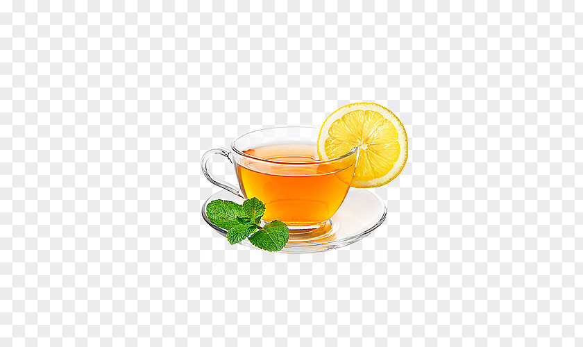Hot Lemon Tea Green Juice Ginger Masala Chai PNG