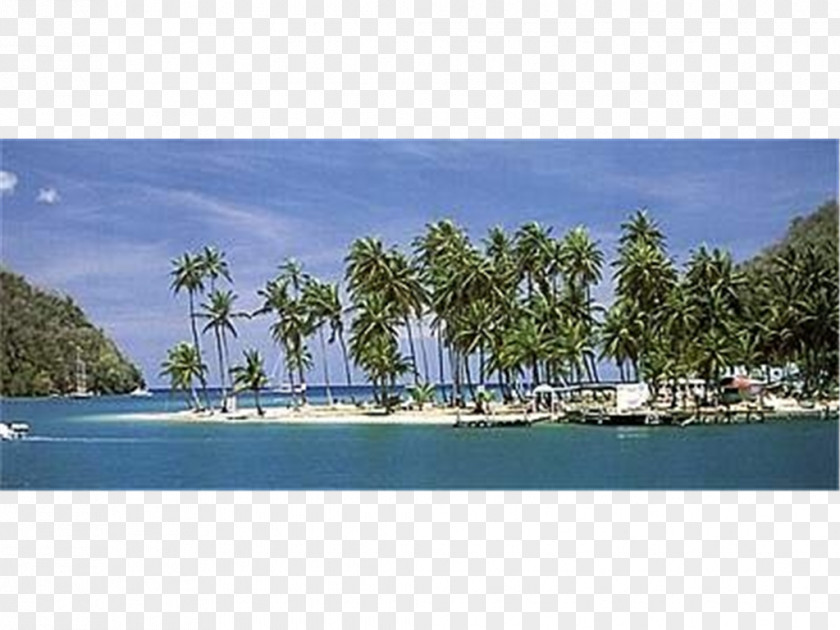 Inlet Panorama Caribbean Waterway Bay PNG