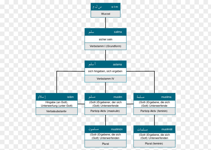 Line Brand Organization Angle PNG