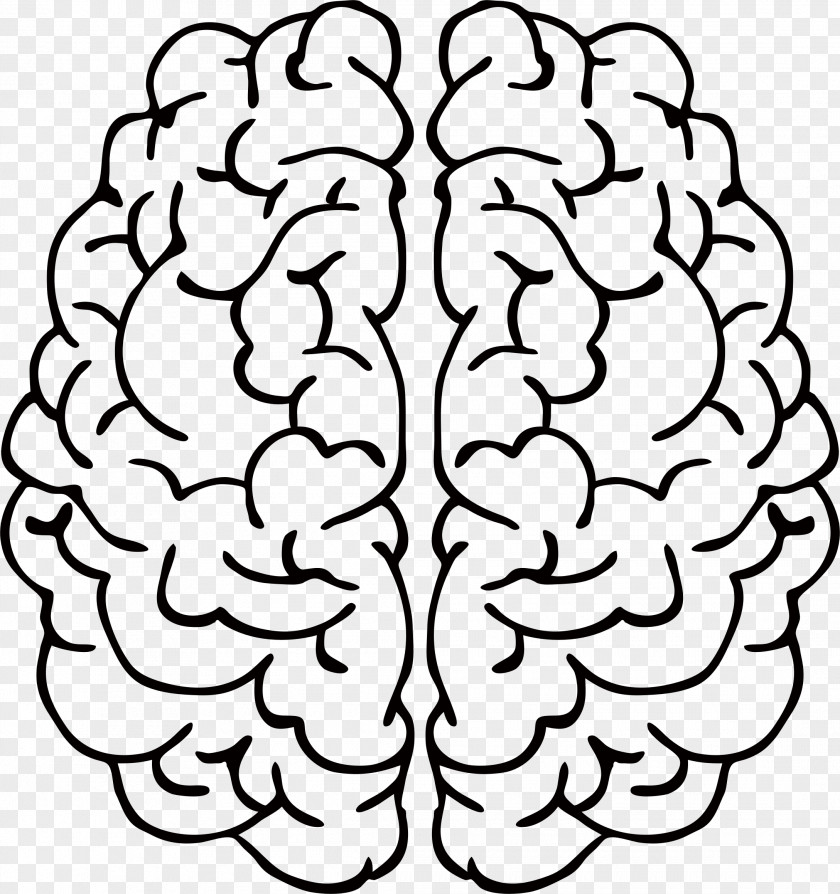 Mind Brain Drawing Line Art Abstract Clip PNG
