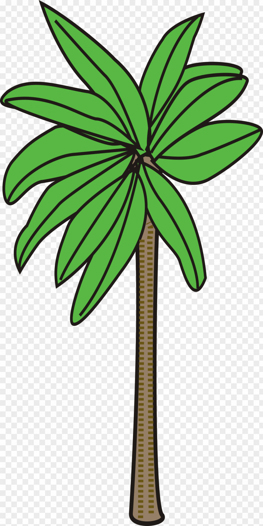 Palm Trees Tree Arecaceae Woody Plant Clip Art PNG