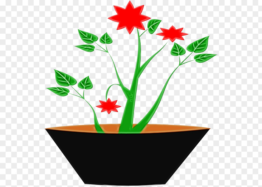 Pedicel Plant Pot Leaf Cartoon PNG