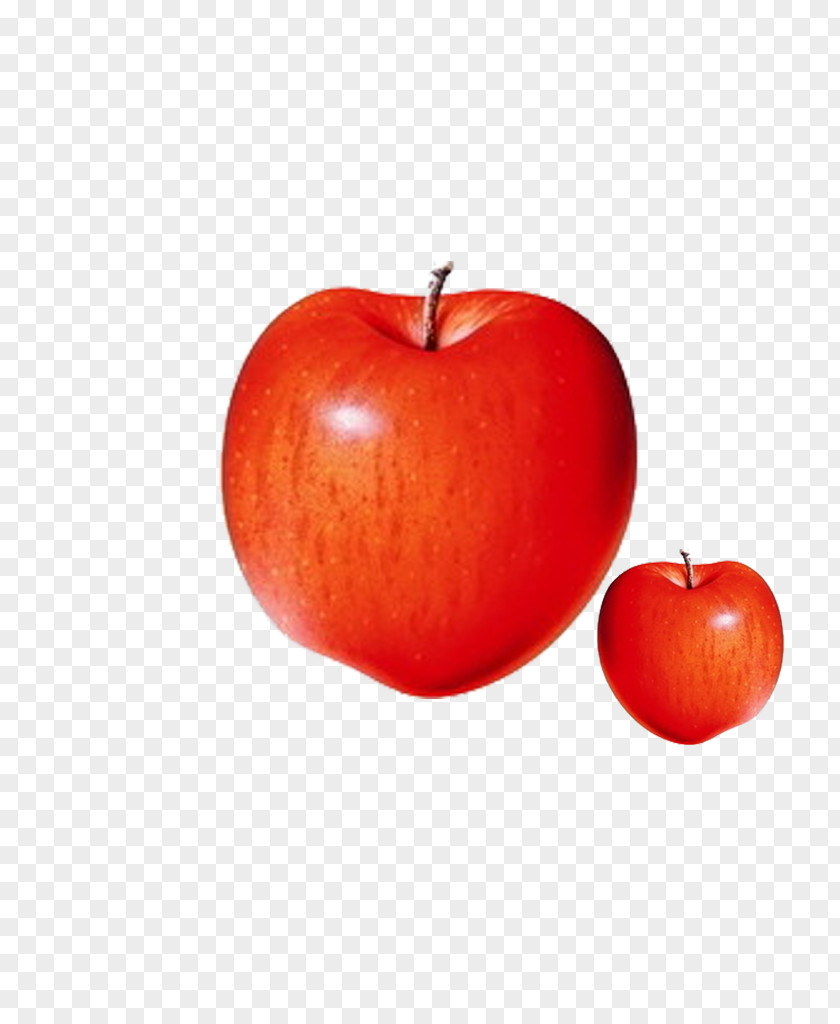 Apple IPhone 6 X MacBook PNG