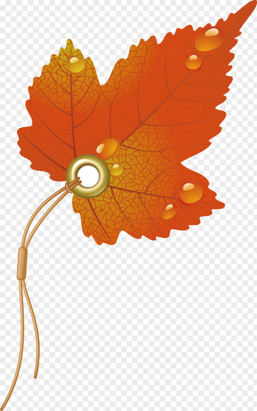 Tag Book Autumn Specials Maple Leaf Bookmark Clip Art PNG