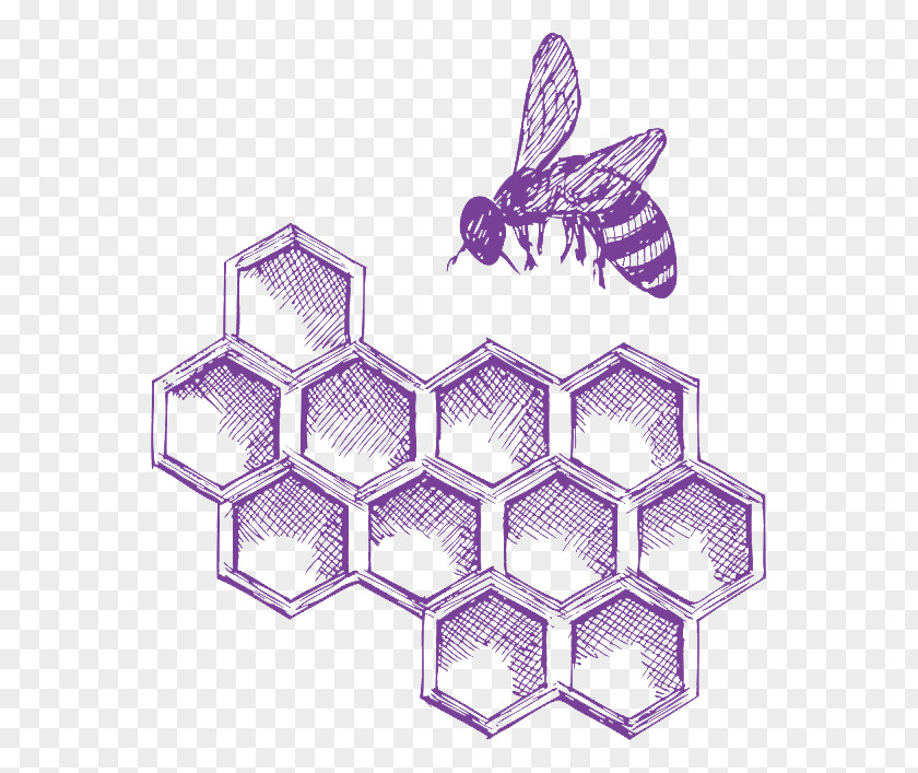Bee Western Honey Insect Beehive PNG