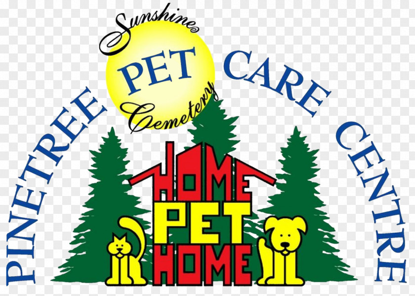 Cat Guelph Dog Pinetree Pet Care Centre PNG