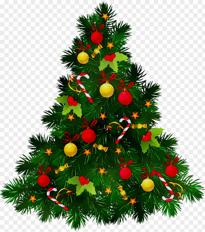 Christmas Tree Day Clip Art Image PNG