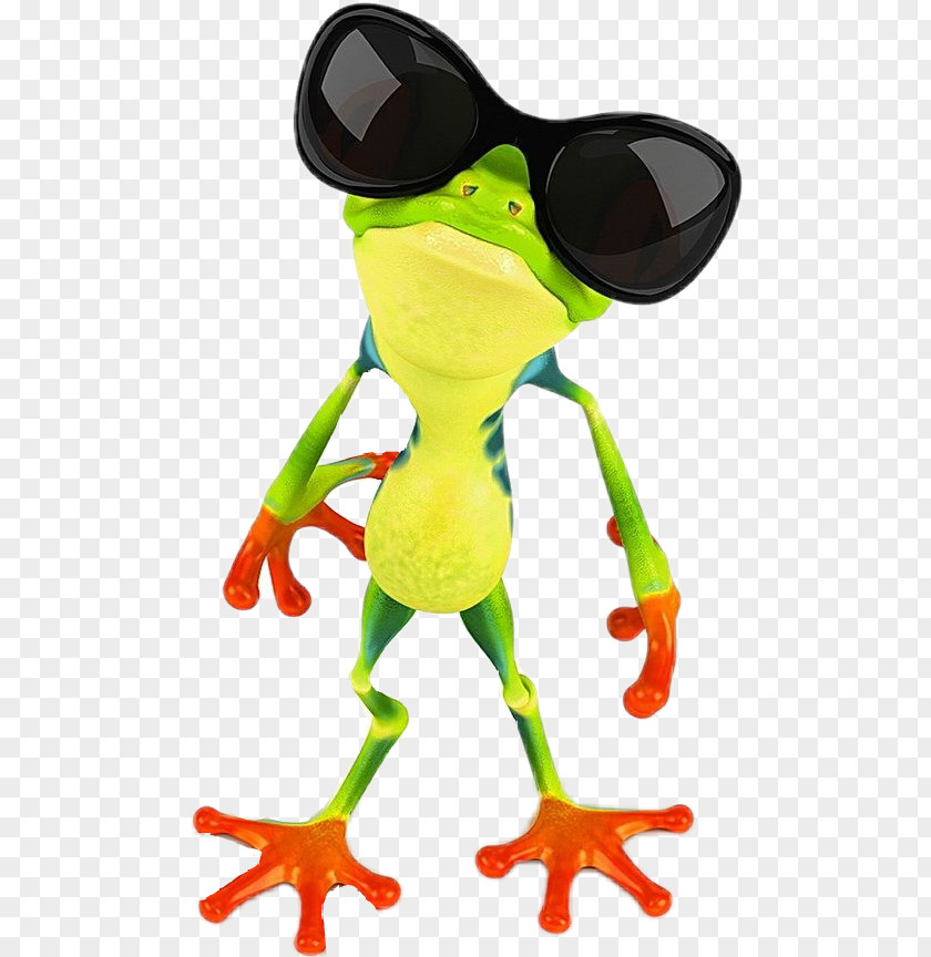 Frog Stock Photography Clip Art Sunglasses Stock.xchng PNG