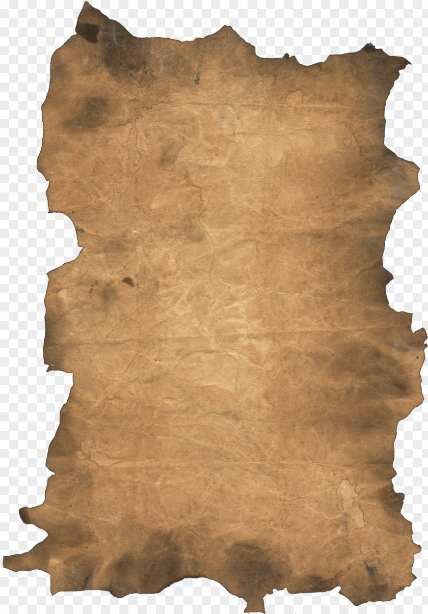 Old Paper Scroll Card Stock Clip Art PNG
