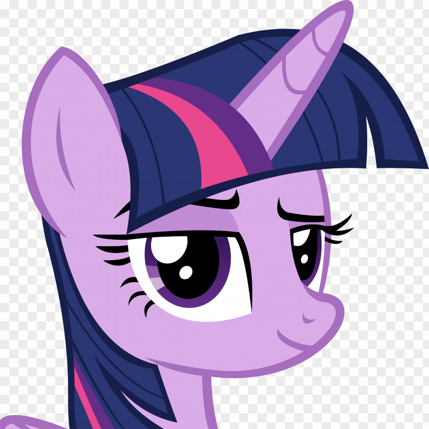Sparkle Twilight Pinkie Pie Rarity Pony Applejack PNG