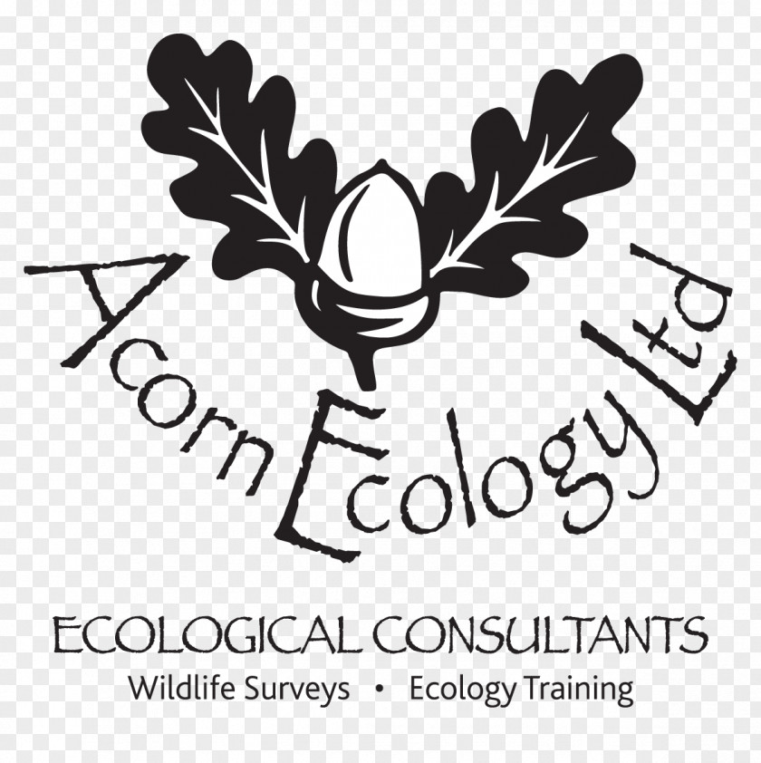 Winnie Pooh Black Exeter Acorn Ecology Ltd Environmental Consulting Consultant PNG