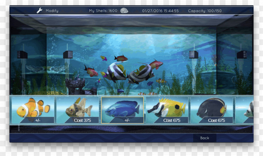 Aquarium Screensaver Apple TV Television Desktop Wallpaper PNG