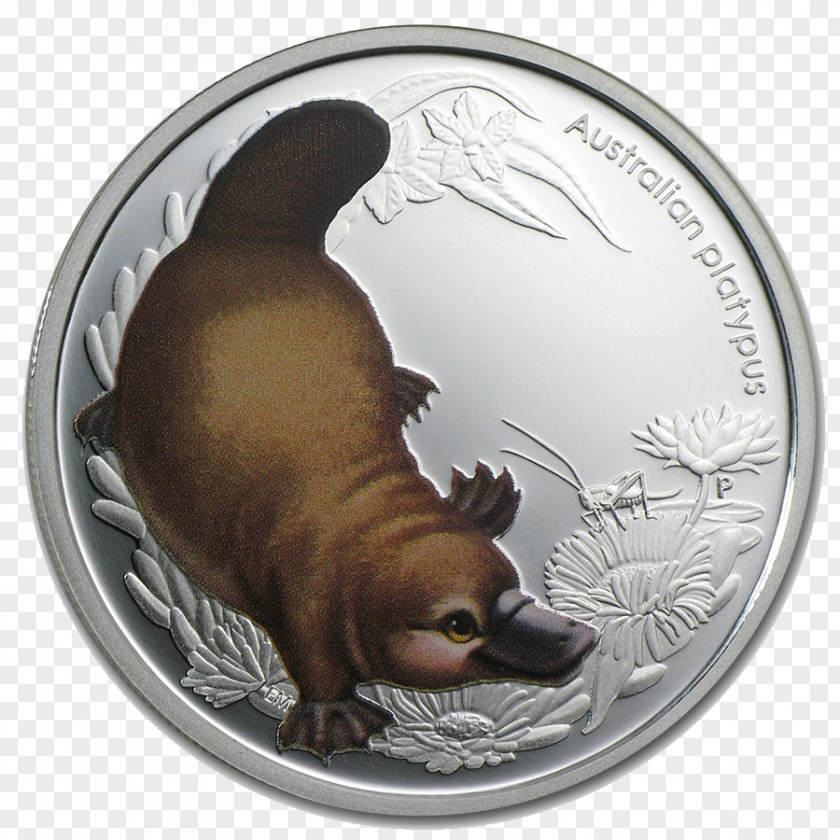 Bush Baby Perth Mint Silver APMEX Commemorative Coin PNG