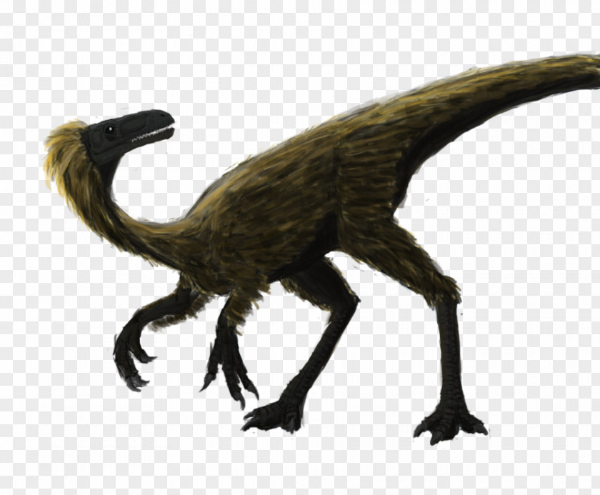 Coelurus Velociraptor Fauna Character Terrestrial Animal Fiction PNG