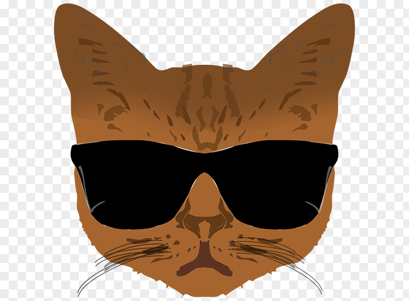 Glasses Whiskers Cat Snout PNG