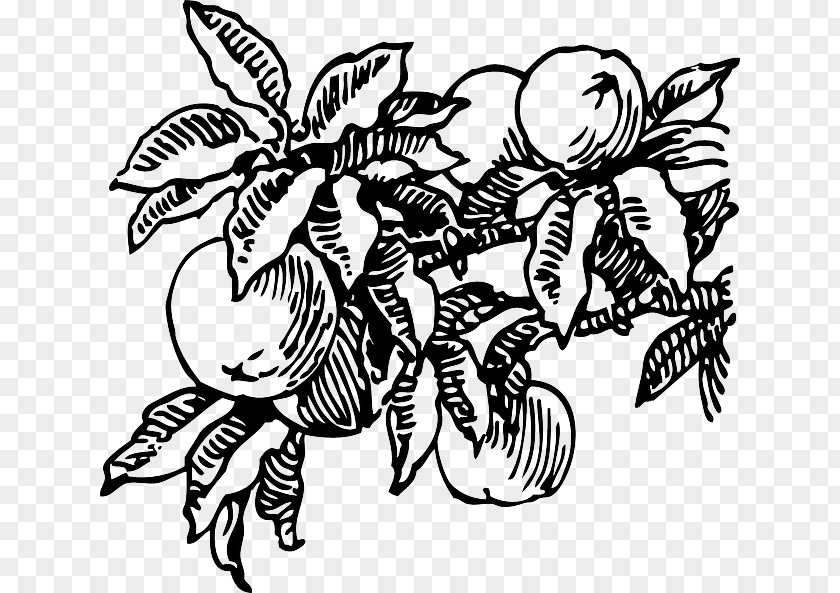 Peach Branch James And The Giant Juice Clip Art PNG
