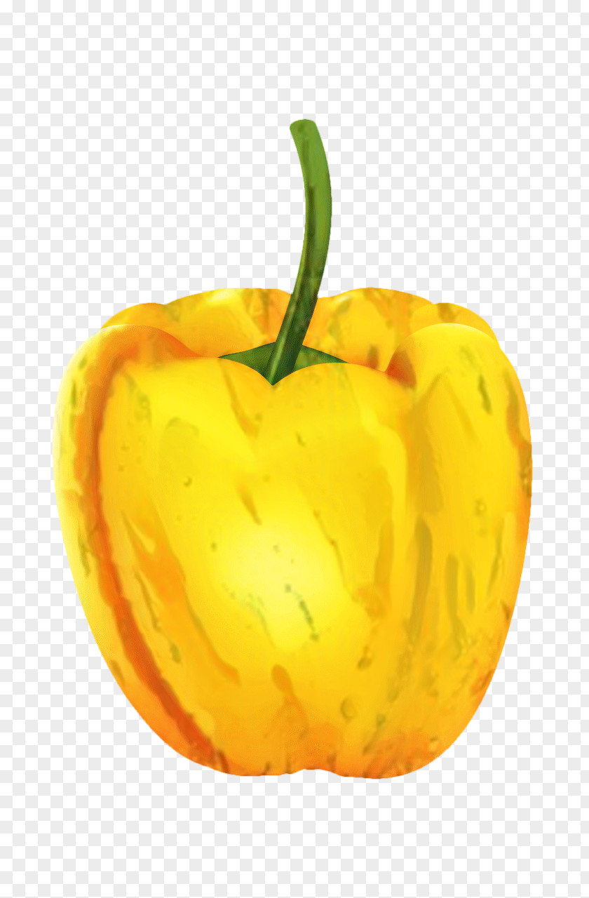 Pumpkin Pimiento Yellow Background PNG