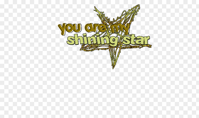 Shinning Stars Text Logo Brand Font PNG