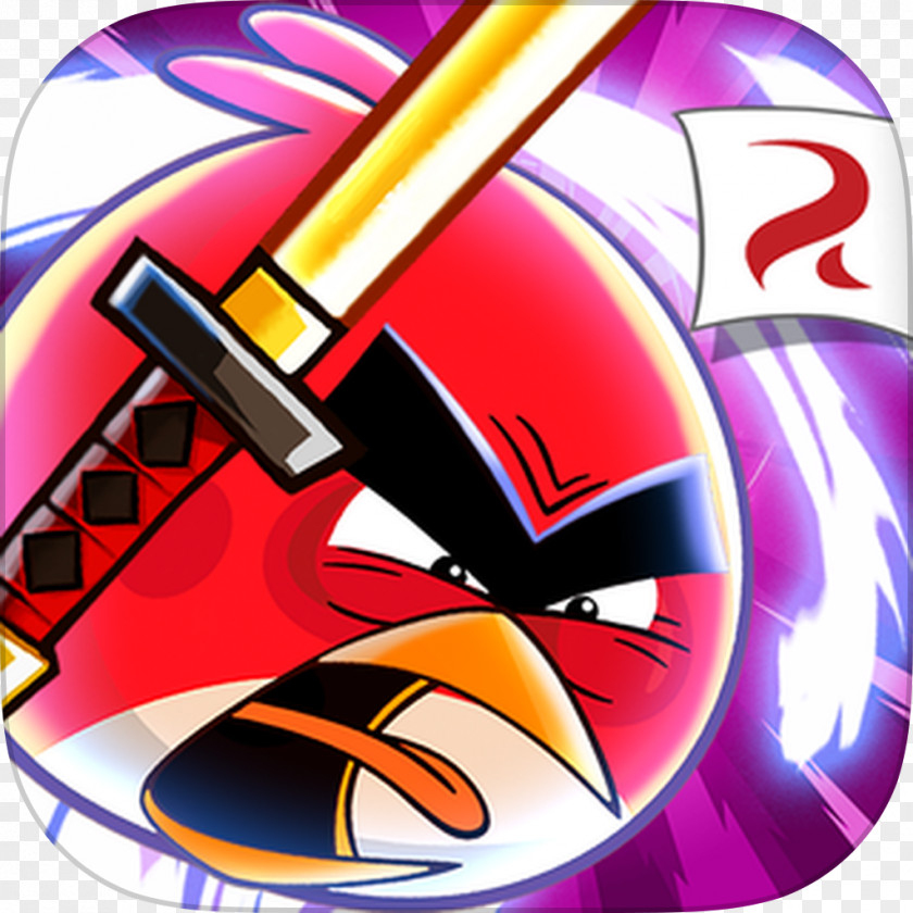 Angry Bird Birds Fight! Seasons Epic Action! PNG