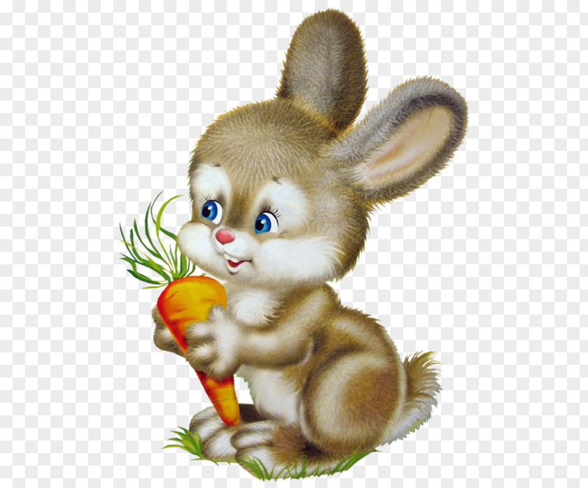 Hare Leporids Easter Bunny Rabbit Photography PNG