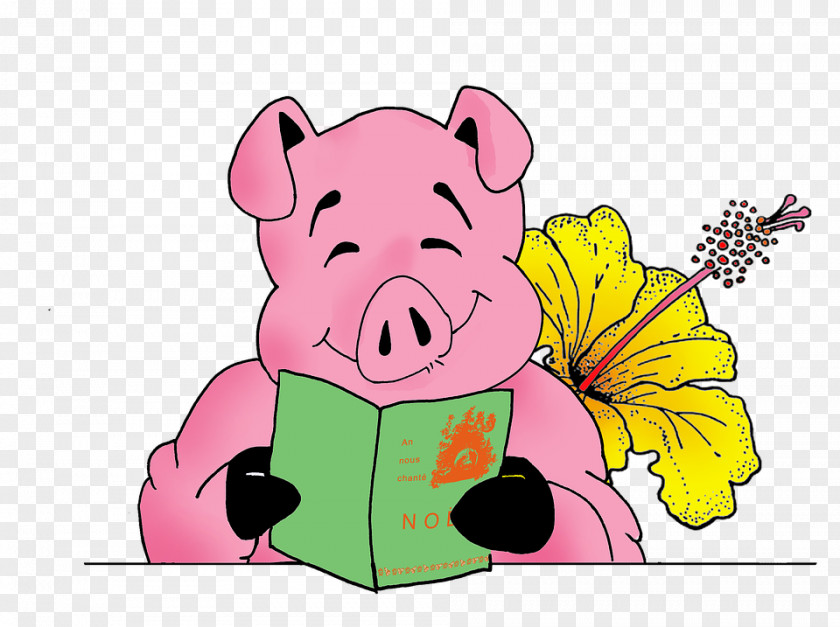 Pink Boar Excitedly Reading Domestic Pig Christmas Illustration PNG