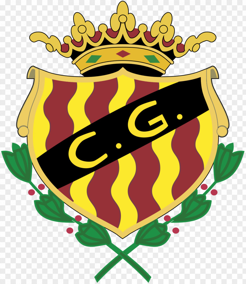 Tarragon Gimnàstic De Tarragona Segunda División Cultural Y Deportiva Leonesa SD Huesca CD Lugo PNG