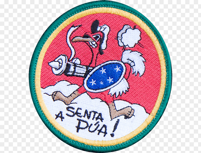 Airplane Senta A Pua! Brazilian Air Force Ministry Of Defence PNG