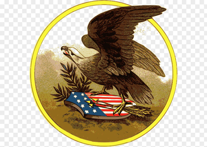 American Eagle Cliparts United States Bald Postcard Clip Art PNG