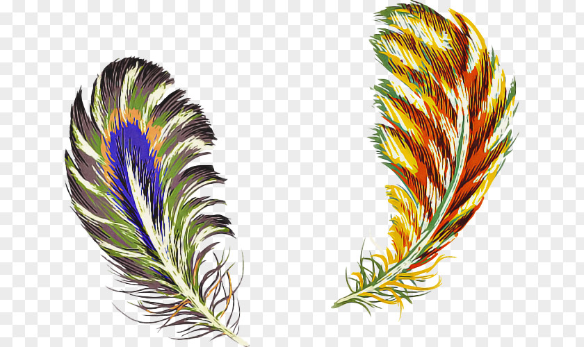 Flower Natural Material Feather PNG