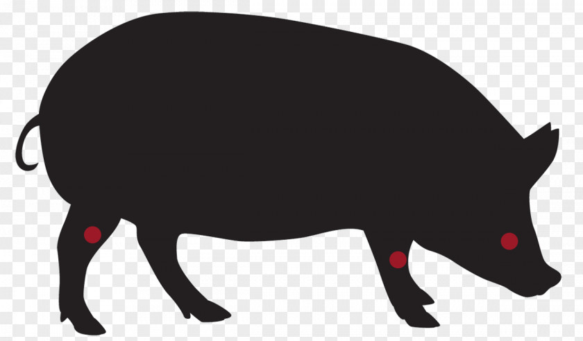 Hot Dog Domestic Pig Clip Art PNG