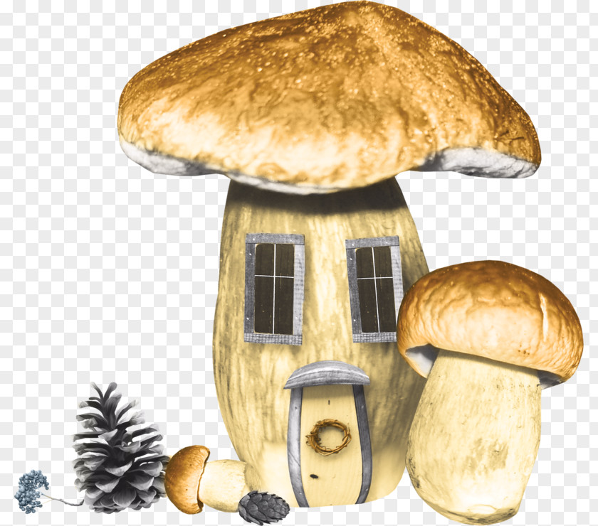 Mushroom Edible Boletus Edulis Cheeseburger Pleurotus Eryngii PNG