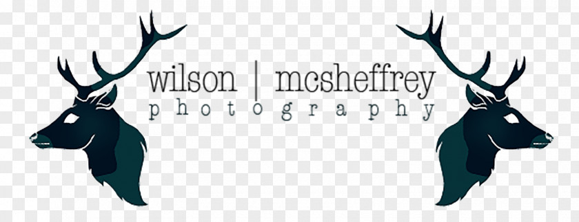 Photographer Wilson McSheffrey Photography Wedding PNG