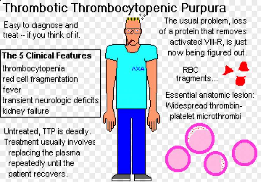 Platelet Thrombotic Thrombocytopenic Purpura Immune Thrombocytopenia Hemolytic-uremic Syndrome PNG