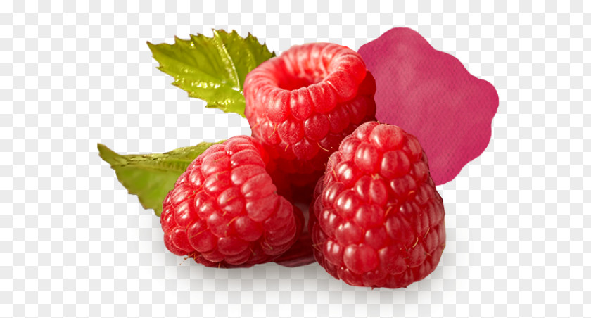 Raspberry Isolated Strawberry Boysenberry Loganberry Accessory Fruit PNG
