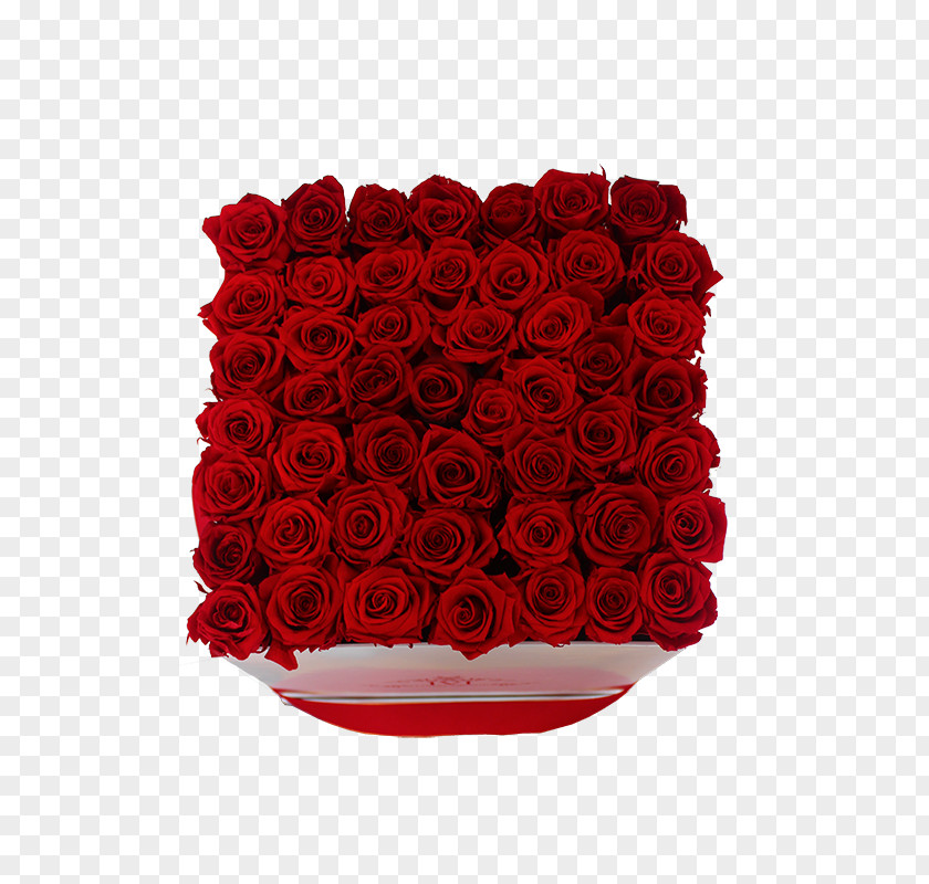 Rose Garden Roses Floristry Cut Flowers Floral Design PNG
