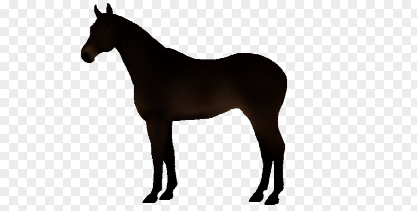 Seal Brown Horse Royalty-free PNG