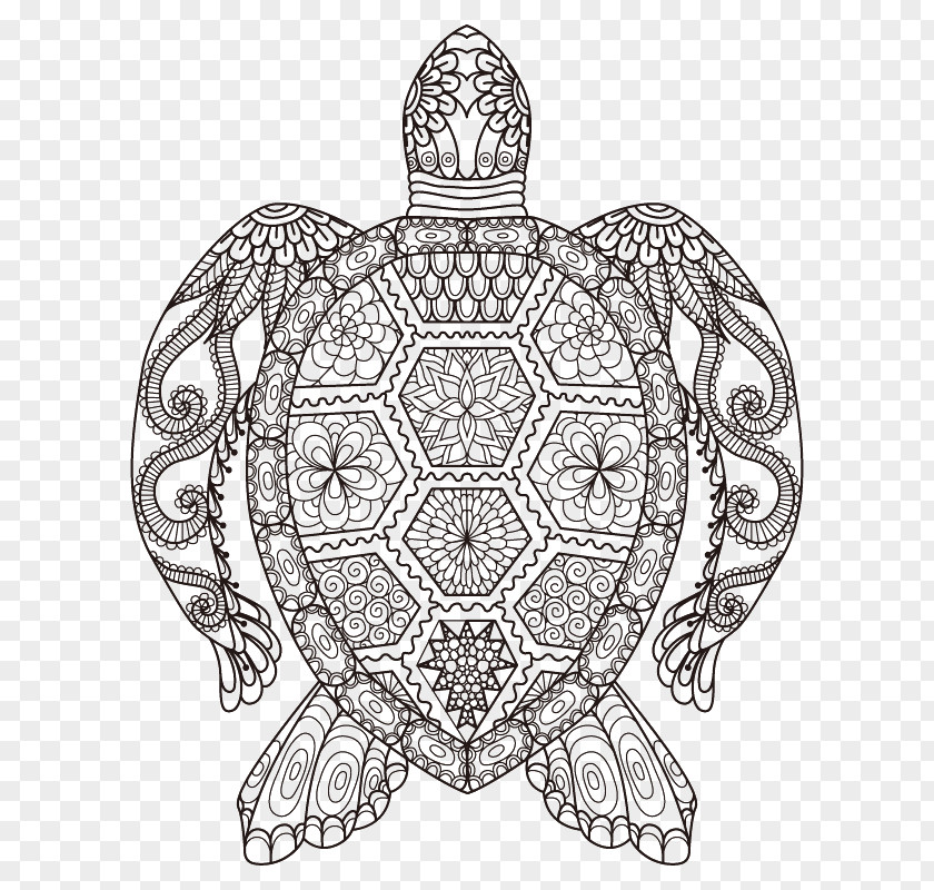 Turtle Linear Painting Sea Coloring Book Adult Drawing PNG