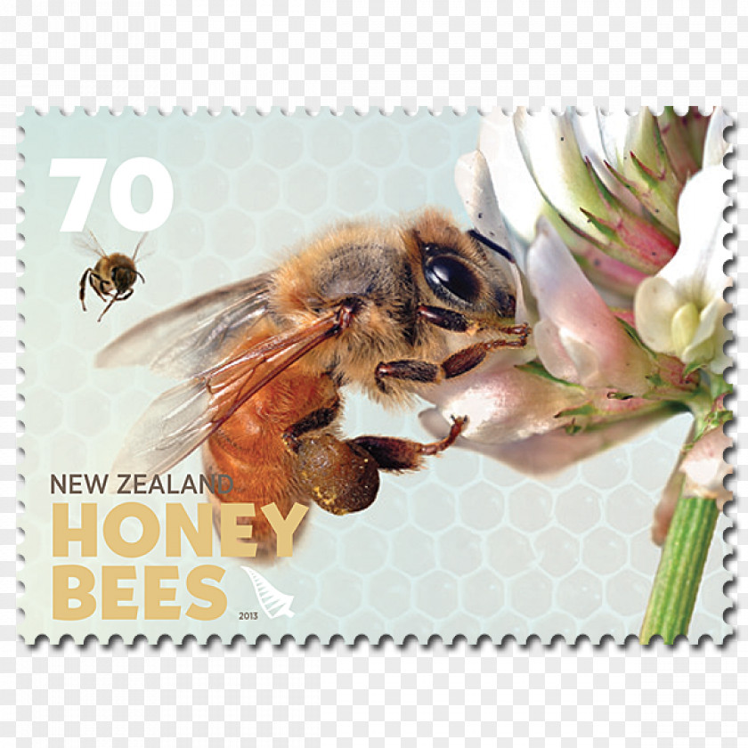 Bee Honey New Zealand Postage Stamps PNG