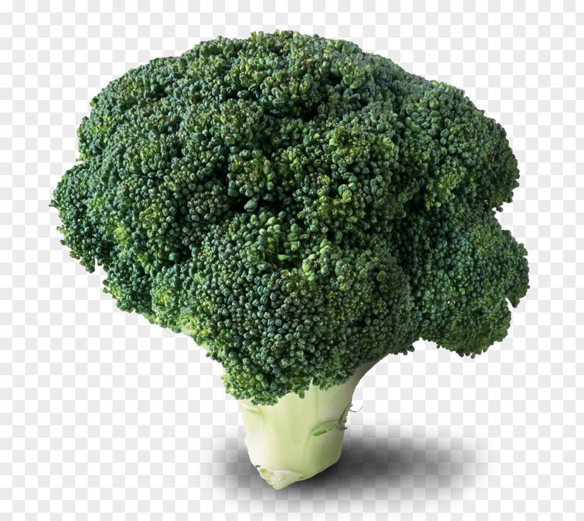 Broccoli ABC Lavpris Cruciferous Vegetables Food PNG